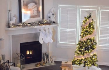 Willetton_Christmas_Time