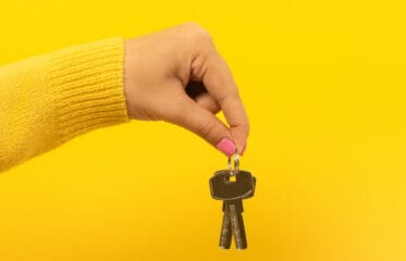 ProfessionalsRealEstate_Update